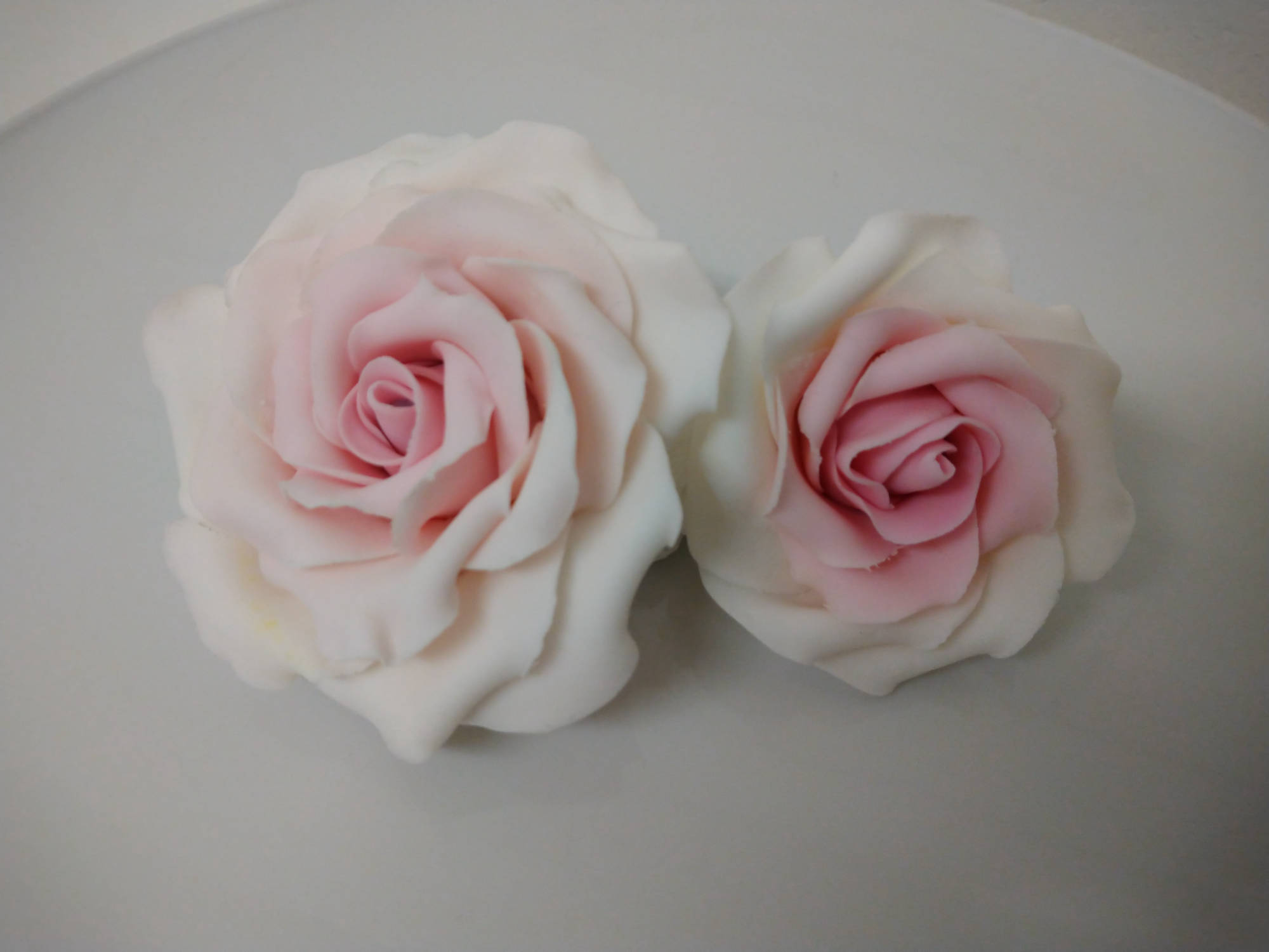 Rosen